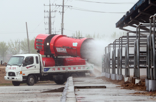 지난달 김포에서 구제역이 발생하면서 폐쇄됐던 전국 우시장이 다시 문을 연 24일 오후 충남 공주시 가축시장에서 축협 관계자들이 방역을 하고 있다.